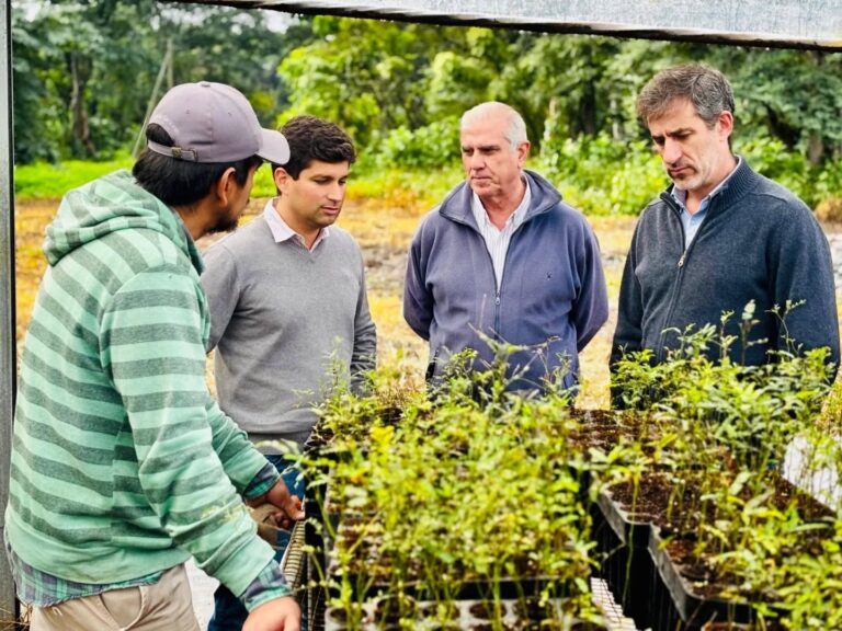 FUNCIONARIOS DEL MINISTERIO DE PRODUCCIÓNVISITARON EL VIVERO FORESTAL
