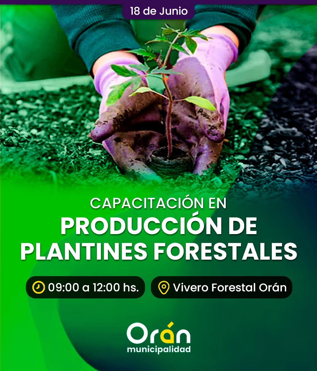 CAPACITACIÓN EN PRODUCCIÓN DE PLANTINES FORESTALES