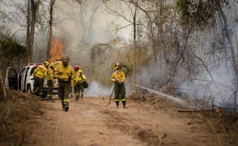 MUNICIPIO, BOMBEROS, PROVINCIA, Y NACIÓN, EN INTENSAS TAREAS CONTRA LOS INCENDIOS FORESTALES