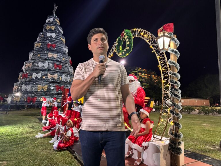 EL ESPÍRITU NAVIDEÑO SE ENCENDIÓ CON LAS LUCES DEL ARBOLITO EN EL ACCESO SUR