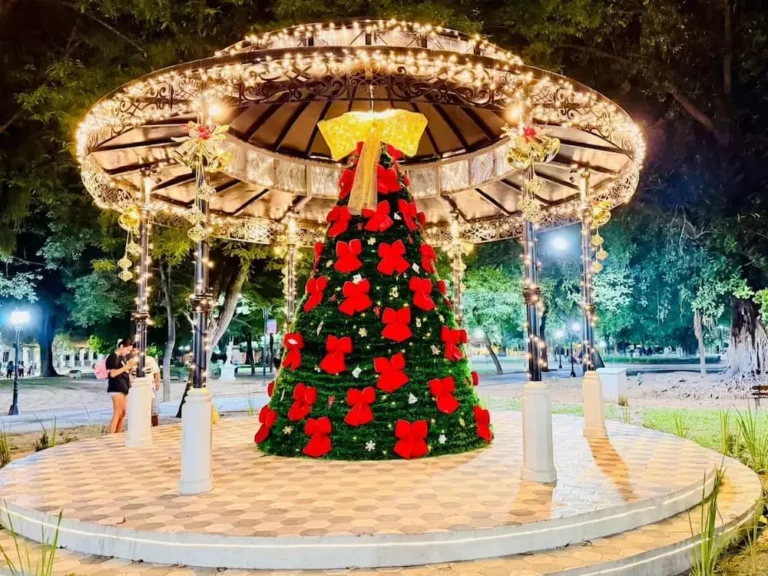 arbolito-plaza-pizarro